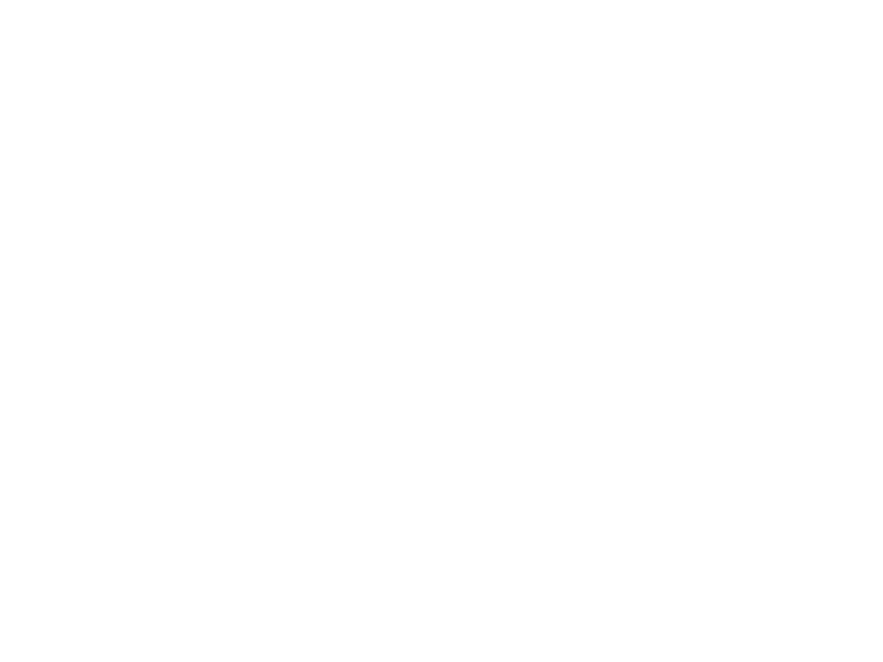 Logo Diakonie Schleswig-Holstein
